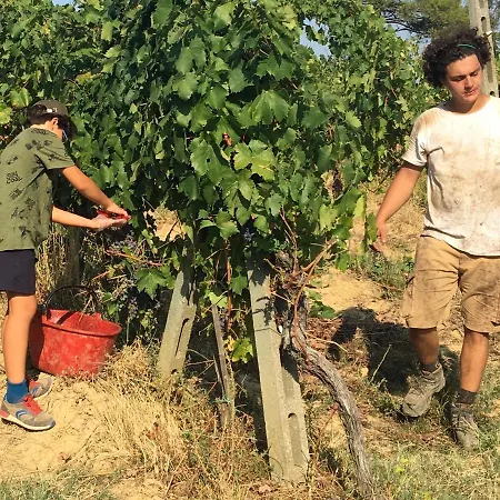 Rigone In Chianti Montaione