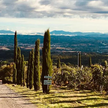 Rigone In Chianti Séjour à la ferme Montaione