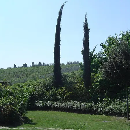 Rigone In Chianti Монтайоне