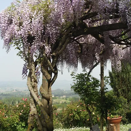 Фермерский дом Rigone In Chianti Монтайоне