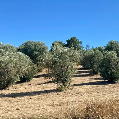 Rigone In Chianti בית חווה מונטאיונה