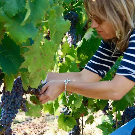 בית חווה Rigone In Chianti
